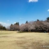 【埼玉県農林公園】芝生広場やミニSL、食事が楽しめる！子連れで遊べるおでかけスポット