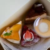 ケーキと焼き菓子がおいしい。鴻巣駅近く「できたてお菓子Coucou（クク）」