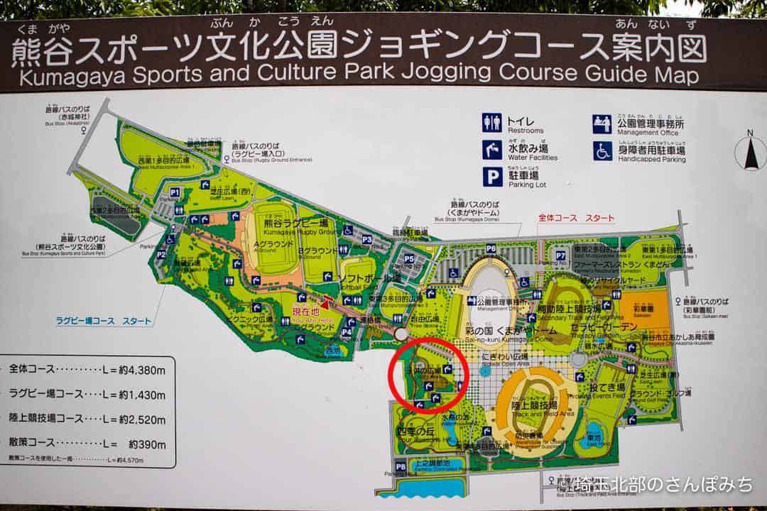 熊谷スポーツ文化公園子供の広場の駐車場