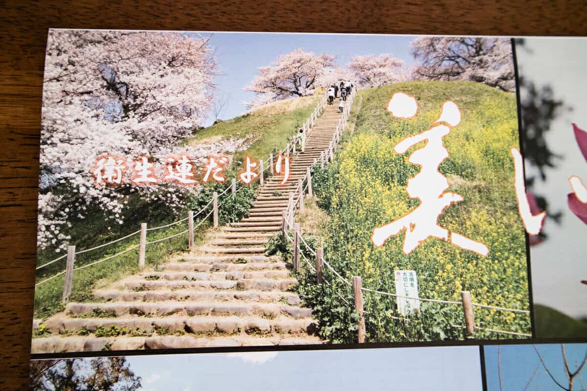 行田「美しいまち」桜の写真