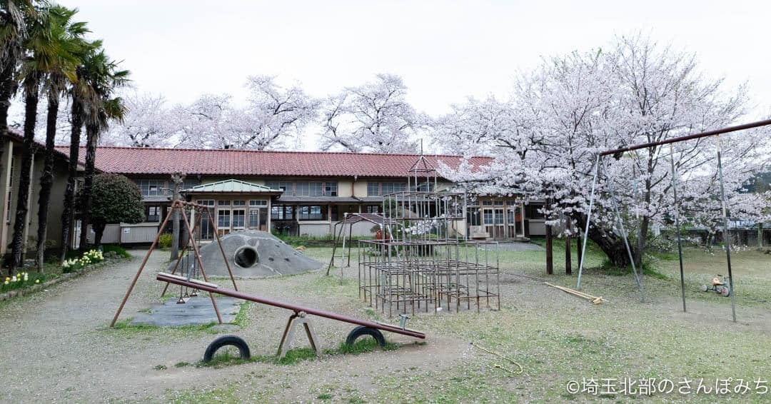 小川町下里分校の校庭と桜