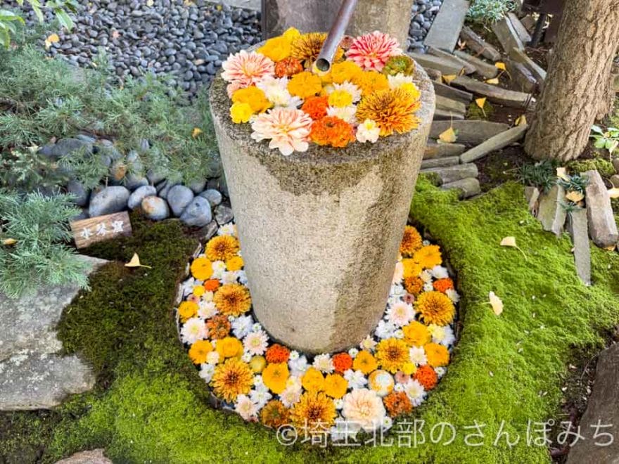 行田八幡神社の花手水(水琴窟)
