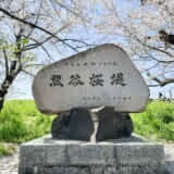 2024年熊谷さくら祭が開催！熊谷桜堤の桜開花・満開はいつ？