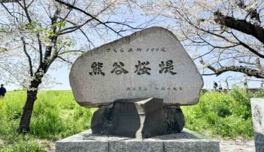 熊谷さくら祭り・熊谷桜堤の石碑