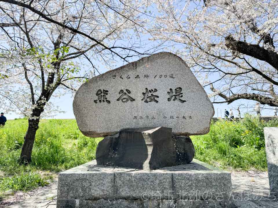 熊谷さくら祭り・熊谷桜堤の石碑